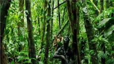 اليوم.. عرض الفليم صائد الجوائز في مهرجان القاهرة «مونوز»